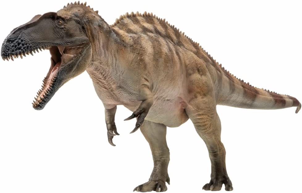 From T-Rex to Spinosaurus: Unveiling 10 of the Largest Carnivorous&nbsp;Dinosaurs